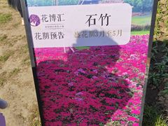 -花博汇(知音花月夜)