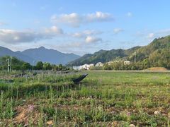 -新安江山水画廊风景区