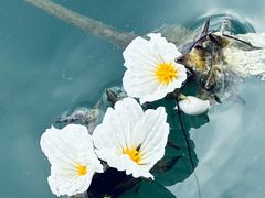 -丽江泸沽湖景区