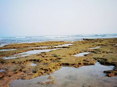 -贝壳沙滩