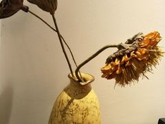 -苏州东山雕花楼宾馆