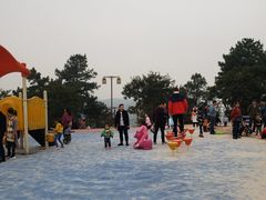 -铁山坪森林公园