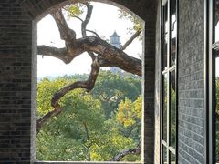 -江心屿景区