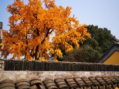 -龙寺生态园