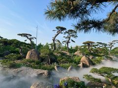 -罗红摄影艺术馆