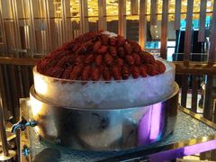 -海鲜自助·汇咖啡厅(宜宾绿发皇冠假日酒店)