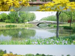-东郊湿地公园
