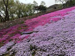 -北陵公园