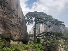 -黄山玉屏楼宾馆餐厅