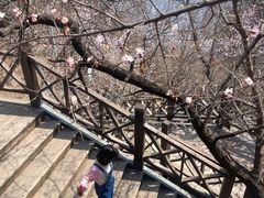 -狼牙山风景区