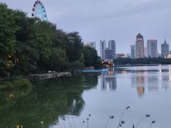 -南宁南湖公园