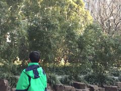 -新湖明珠城