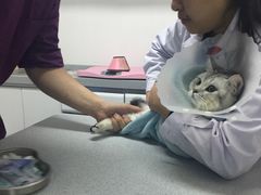 -达爱动物医院·犬猫分区·CT·复杂眼科(远洋山水分院)