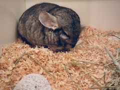 -龙猫仔乐园(惠福东路店)