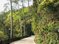 -三门江国家森林公园