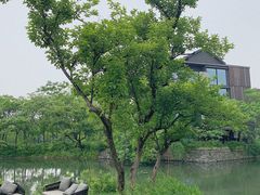 -木守西溪溪隐餐厅