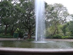 -九龙公园