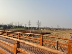 -汉长安城未央宫国家考古遗址公园