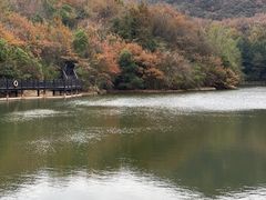 -白马涧龙池景区