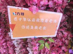 -泰安方特欢乐世界