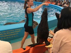 -尼莫海豚馆