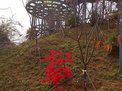 -小南山公园