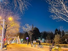 -元大都城垣遗址公园