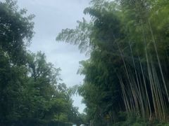 -平湖九龙山旅游度假区