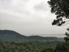 -雨花胜境