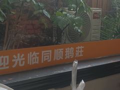 -同顺鹅庄(南华路店)