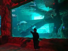 -华夏文旅海洋公园