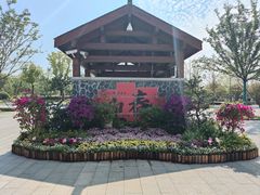 -苏州上方山国家森林公园