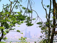 -岳麓山风景名胜区