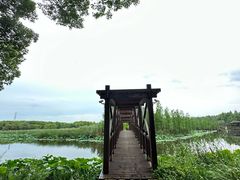 -同里国家湿地公园