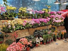 -双季花艺园艺市场(浦东店)