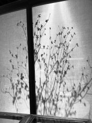 -圣露庄园·草坪婚礼·宴会厅·会议