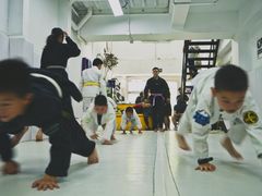 -菠萝格斗巴西柔术训练馆