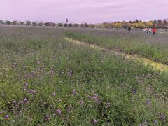 -漩门湾国家湿地公园