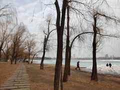 -长春市南湖公园