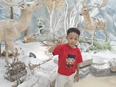 -西霞口神雕山野生动物世界