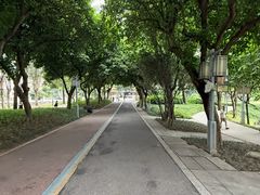 -顺峰山公园