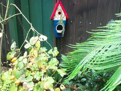 -三鹰之森吉卜力美术馆