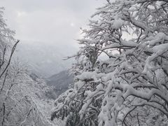 -九峰山