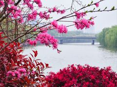 -运河游船(武林门码头)