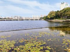 -南宁南湖公园