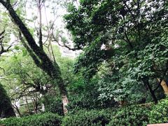 -香港大学