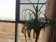 -鸽子侯·家宴·平价海鲜(绿地店)