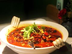 -辛香汇·现炒川菜(淮海路百盛店)
