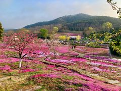 -棒棰岛宾馆景区
