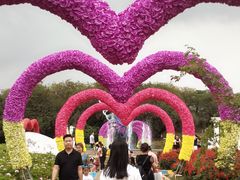 -松山湖梦幻百花洲